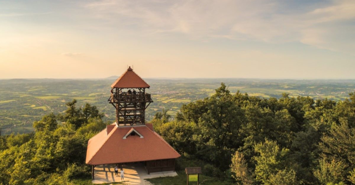Vaše savršeno leto na Kosmaju – odmor u hotelu Alexander 6