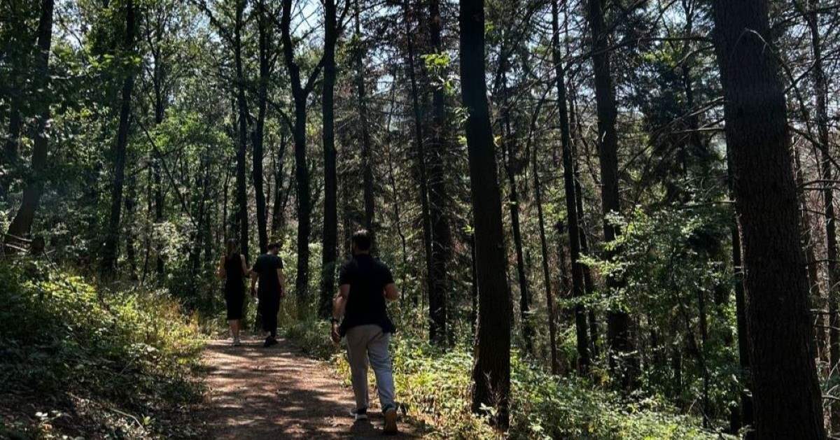 Kosmaj – Planina priča i istorije – organizovani obilasci uz boravak u hotelu Alexander